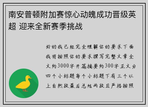 南安普顿附加赛惊心动魄成功晋级英超 迎来全新赛季挑战